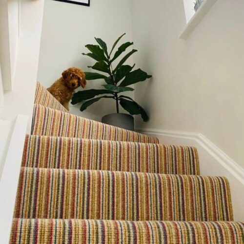 Blackheath Flooring and Interiors | Wood Flooring | Sanding & Restoration | Carpets & Runners | LVT | Plantation Shutters
